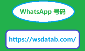 WhatsApp 号码