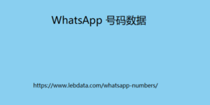 WhatsApp 号码数据